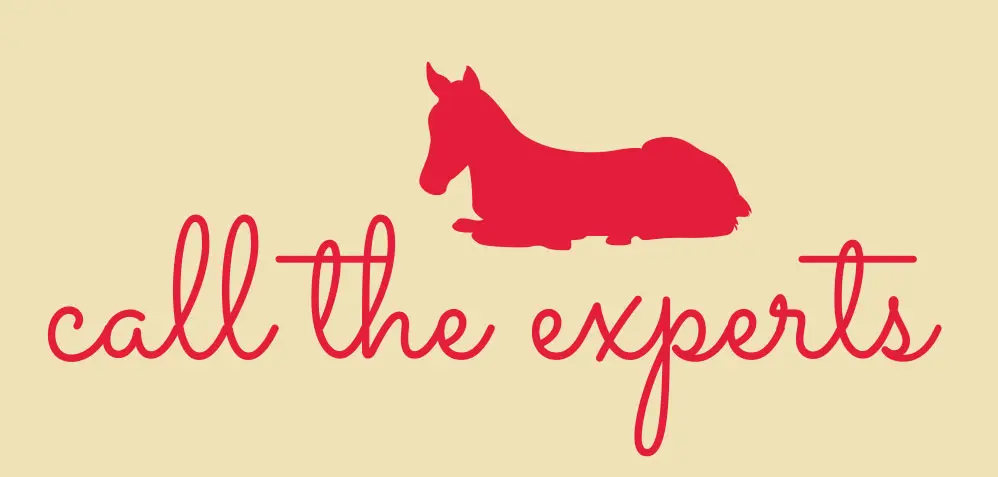 Call Riverina Equine Vet